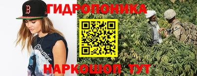 PSILOCYBIN Бердск