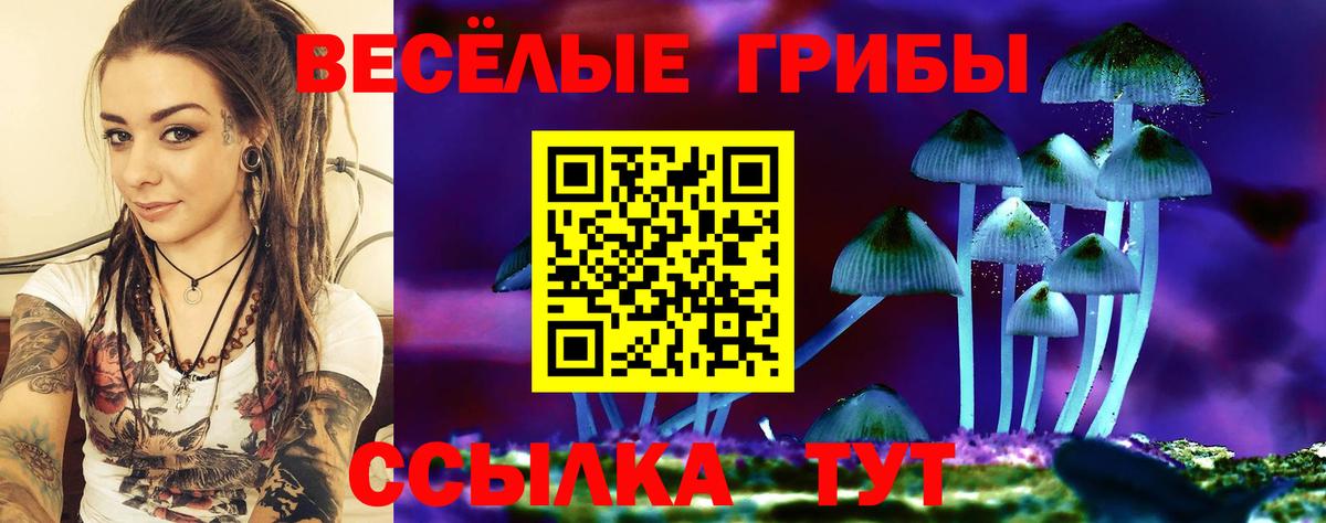 Галлюциногенные грибы MAGIC MUSHROOMS  Псилоцибиновые грибы мицелий  Кисловодск  Вход с VPN 