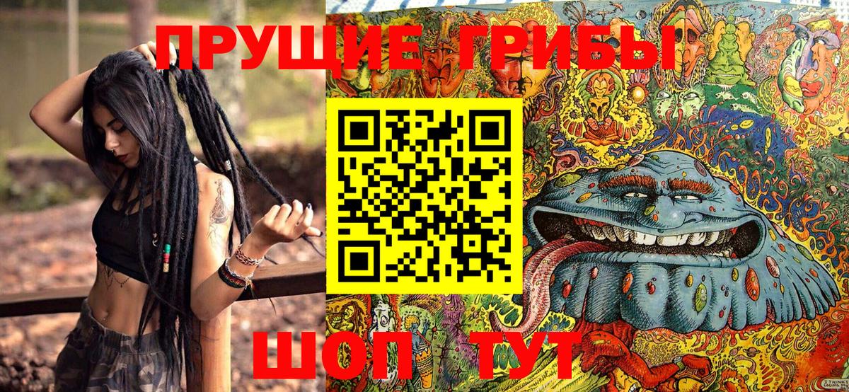 Галлюциногенные грибы Cubensis Кисловодск